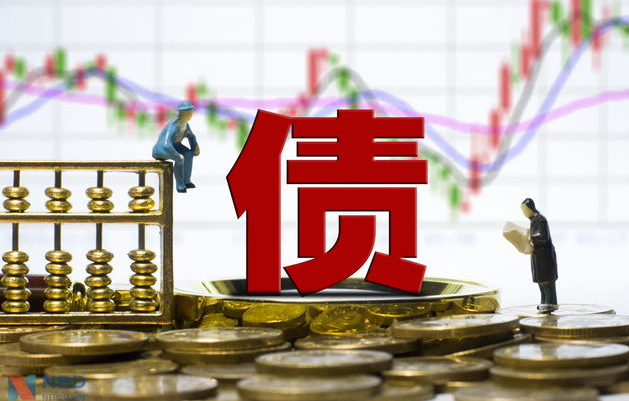 今年地方债发行规模超8万亿创新高