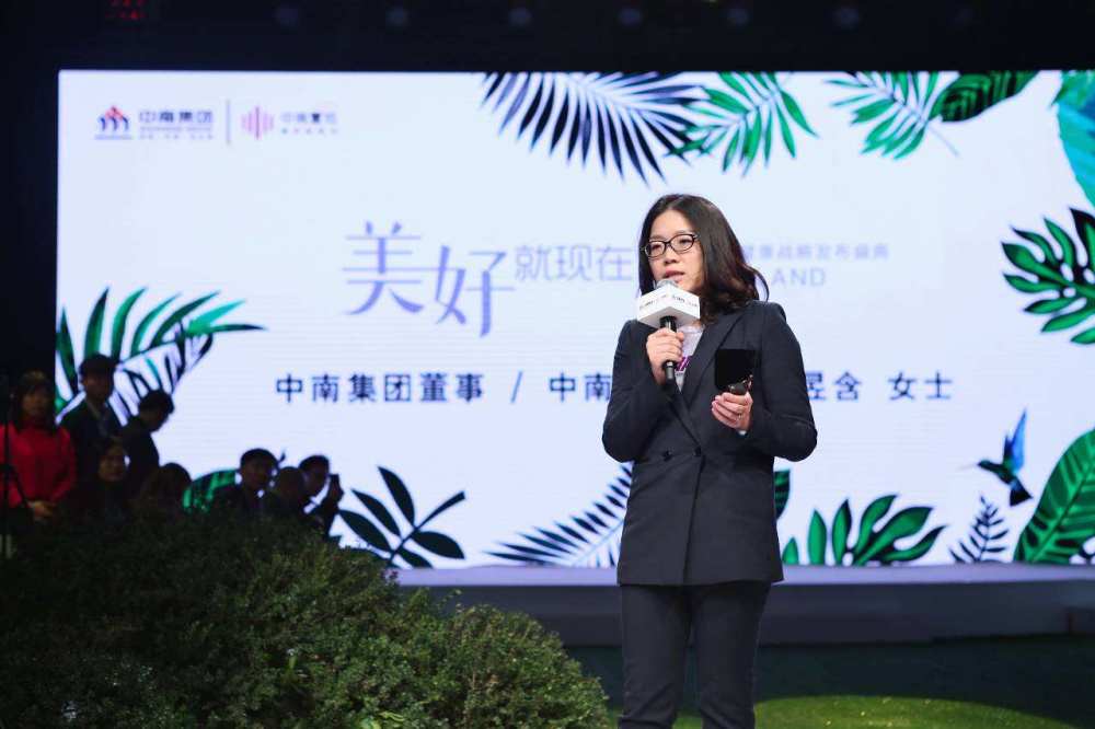 “20中南建设MTN002”存兑付风险，本息共计18.72亿元，拟于22日审议展期议案