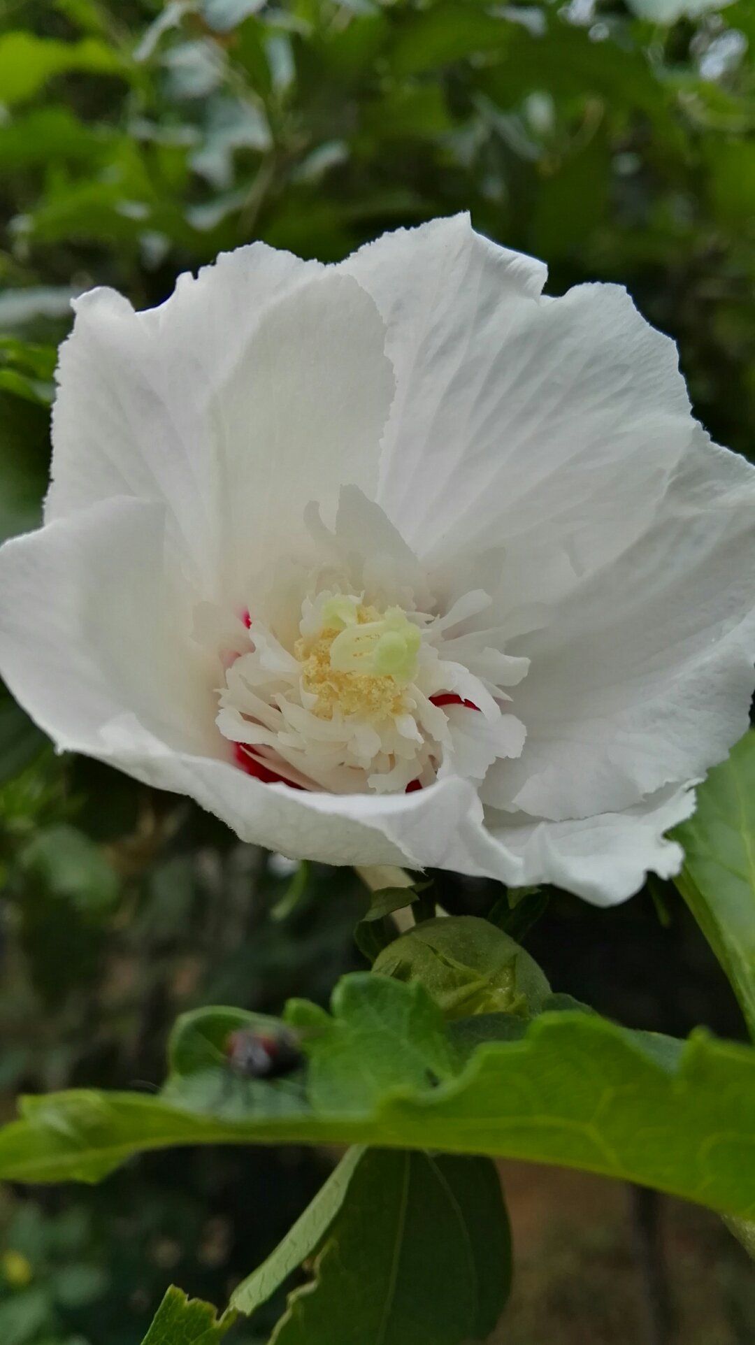 中国银行迪拜分行绿色债券于纳斯达克迪拜交易所成功上市