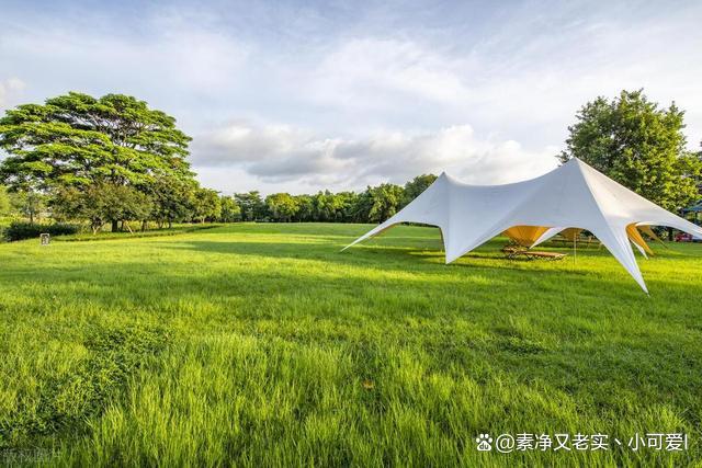 黑岩资本怒怼投资人背后,投资人诉求是否“于法无依”?