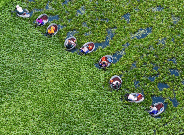 农发行发行70亿元绿色债券 发行利率1.47%