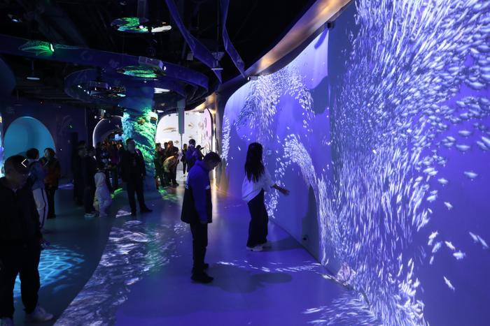 一副眼镜半年融5亿元,这个赛道迎来爆发节点了吗?