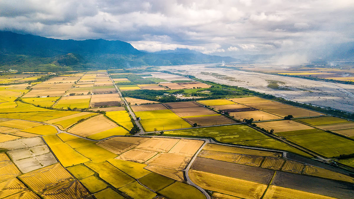 【新华解读】敬畏趋势、警惕“负反馈” 债券收益率曲线将迎来陡峭化新常态