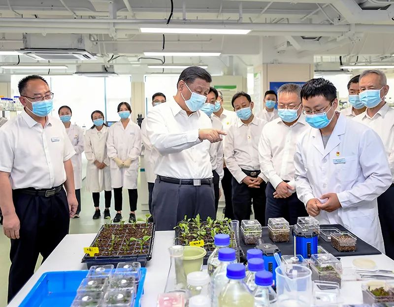 袁海霞：财政政策需要有更大突破，地方债短期可落实“四个可为”