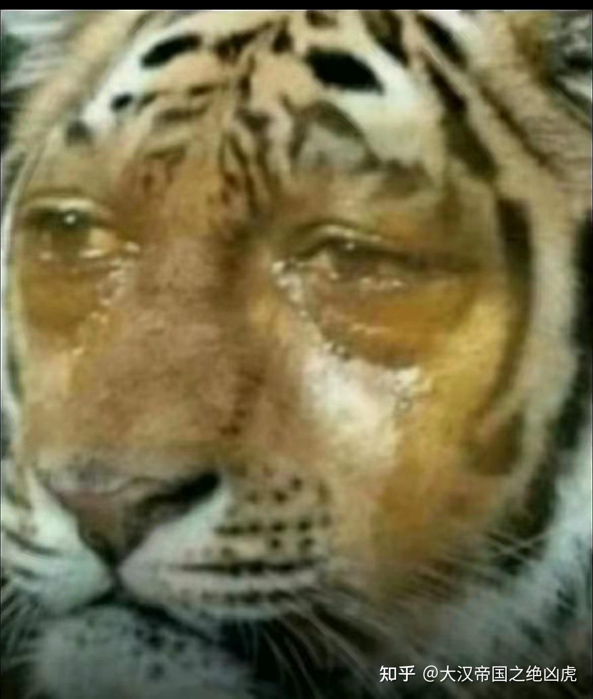 信用债小幅回升，短期赎回负反馈仍需警惕