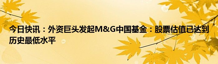美银:中国股票基金资金流入创新高 “新兴市场之父”亮出看多态度