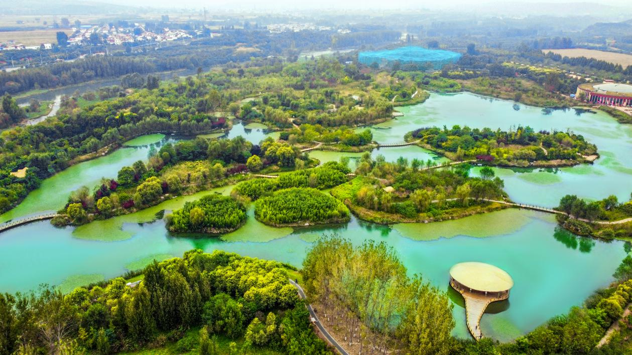 国家绿色发展基金汪义达:以耐心资本带动社会资本投向绿色低碳领域