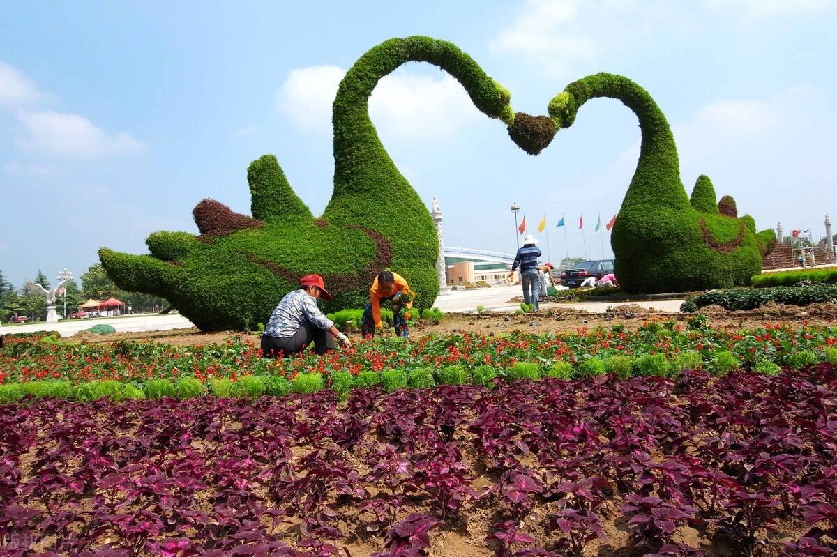 深交所大湾区债券平台实现 首只企业类绿色跨境债券挂牌