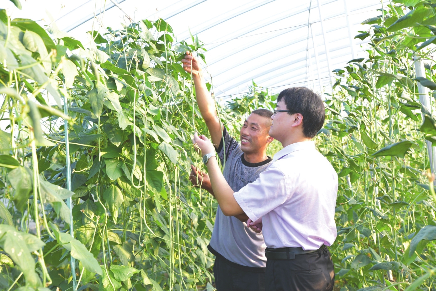 农行落地质押互换央票债券回购交易