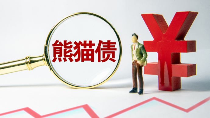 持续优化熊猫债市场结构 助力债券市场高水平开放