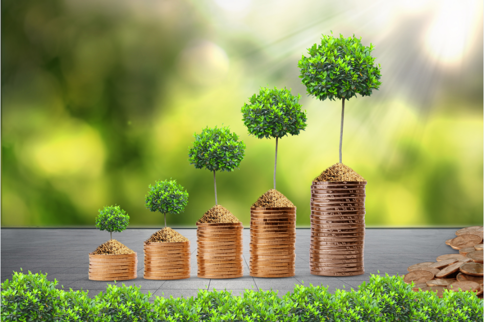 中央结算公司发布《中国绿色债券白皮书》