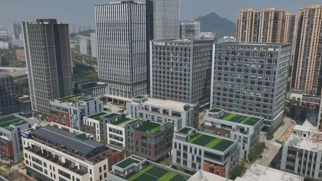 厚植独角兽企业成长沃土 深圳再发力吸引科创启明星