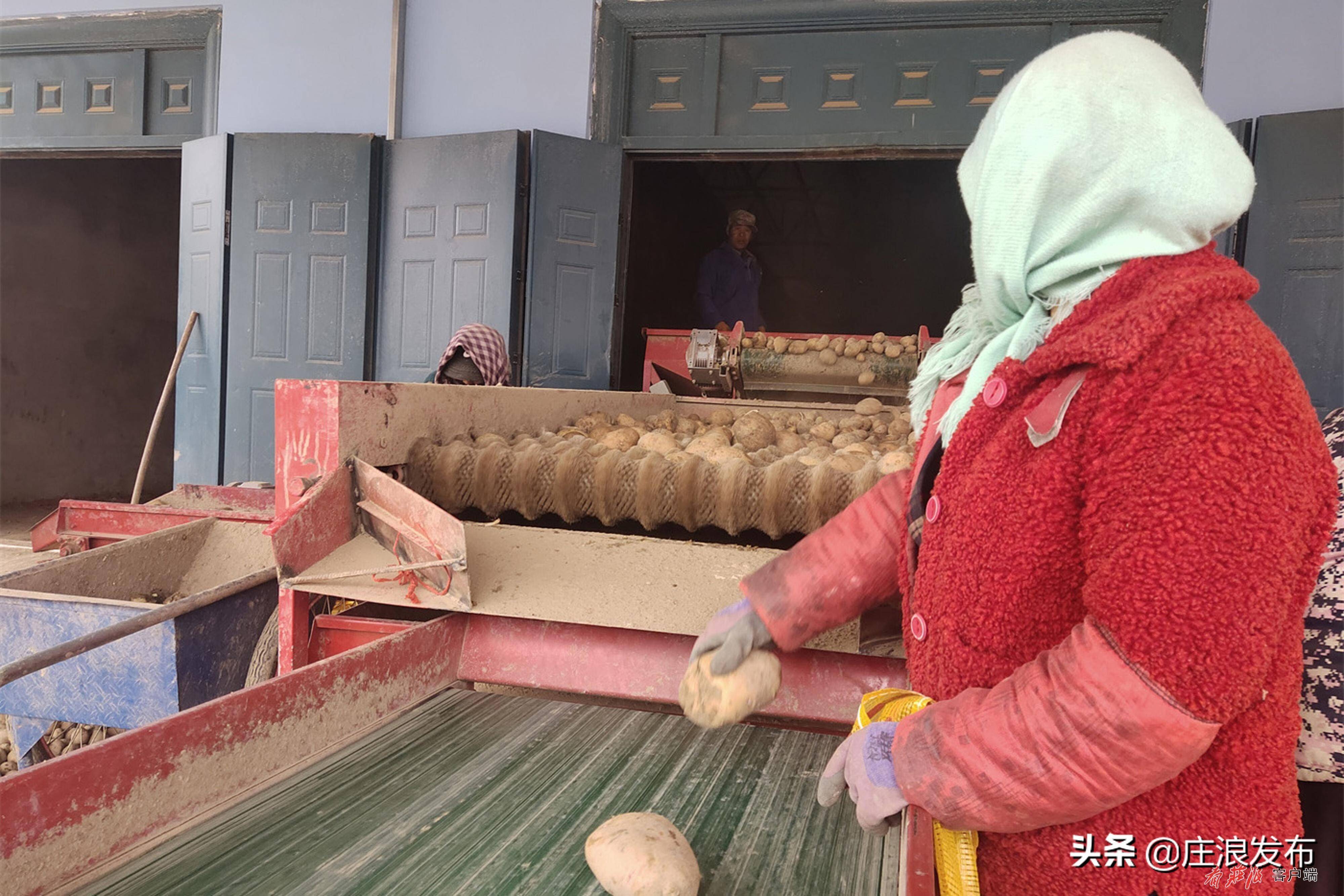 专注薯制品全产业链整合加工 凯达恒业获黑蚁资本、建发新兴近4亿元首轮融资