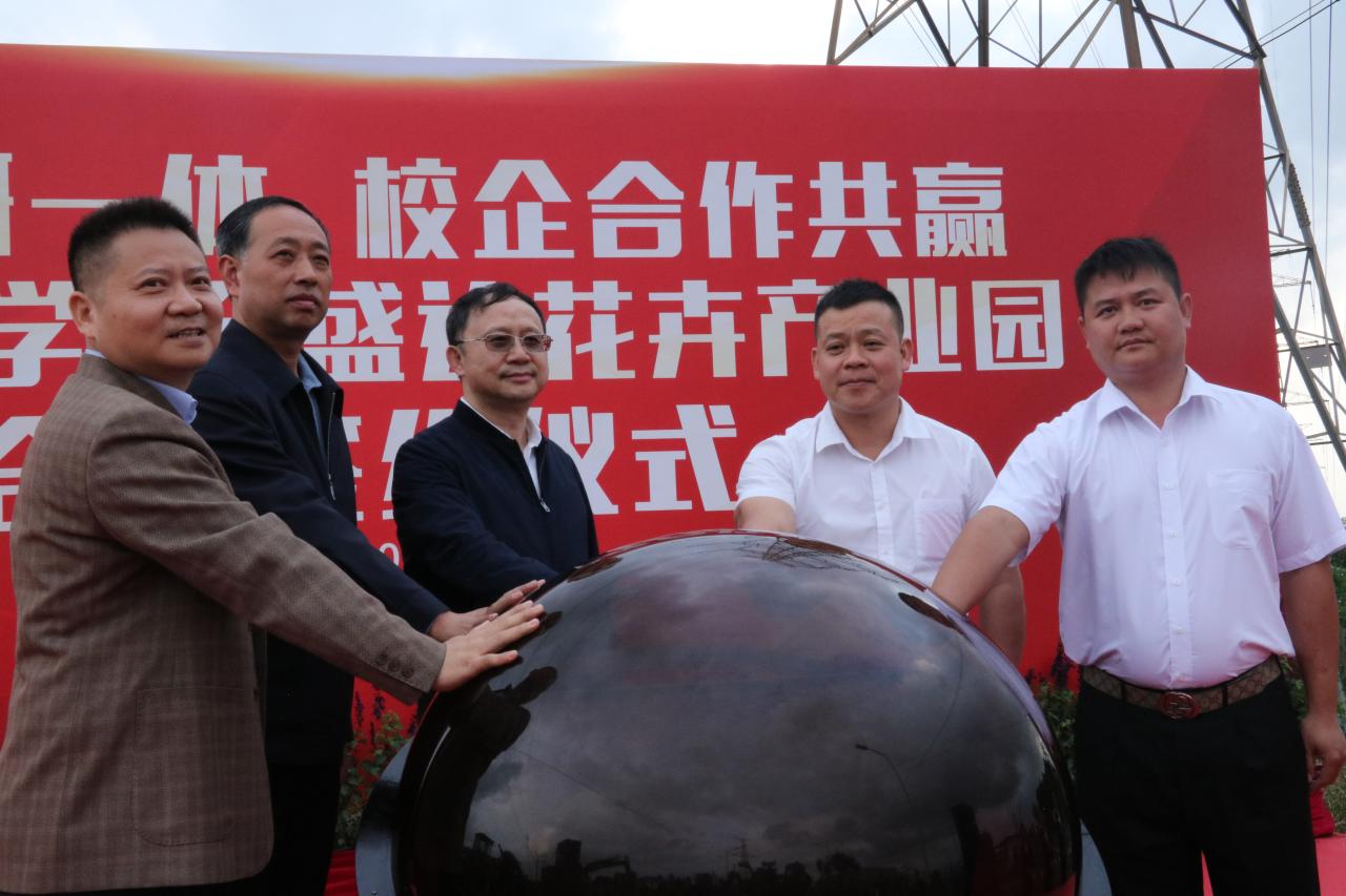 海南自贸港先进智算投资签约仪式举行 海南国资母基金扬帆起航