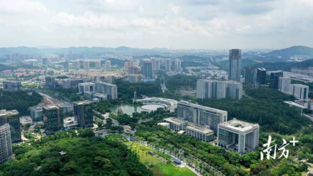 创业“明星”受追捧，一场百万奖金国际创业大赛折射大湾区科创“聚合效应”