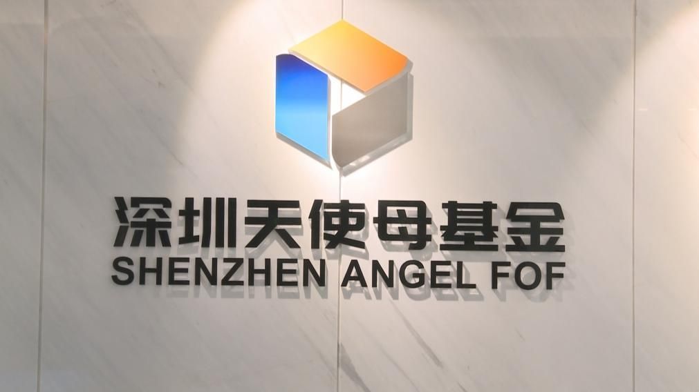 中部创投发力!武汉洪山区“十大行动”方案出炉,力争3年汇集千亿产业基金群