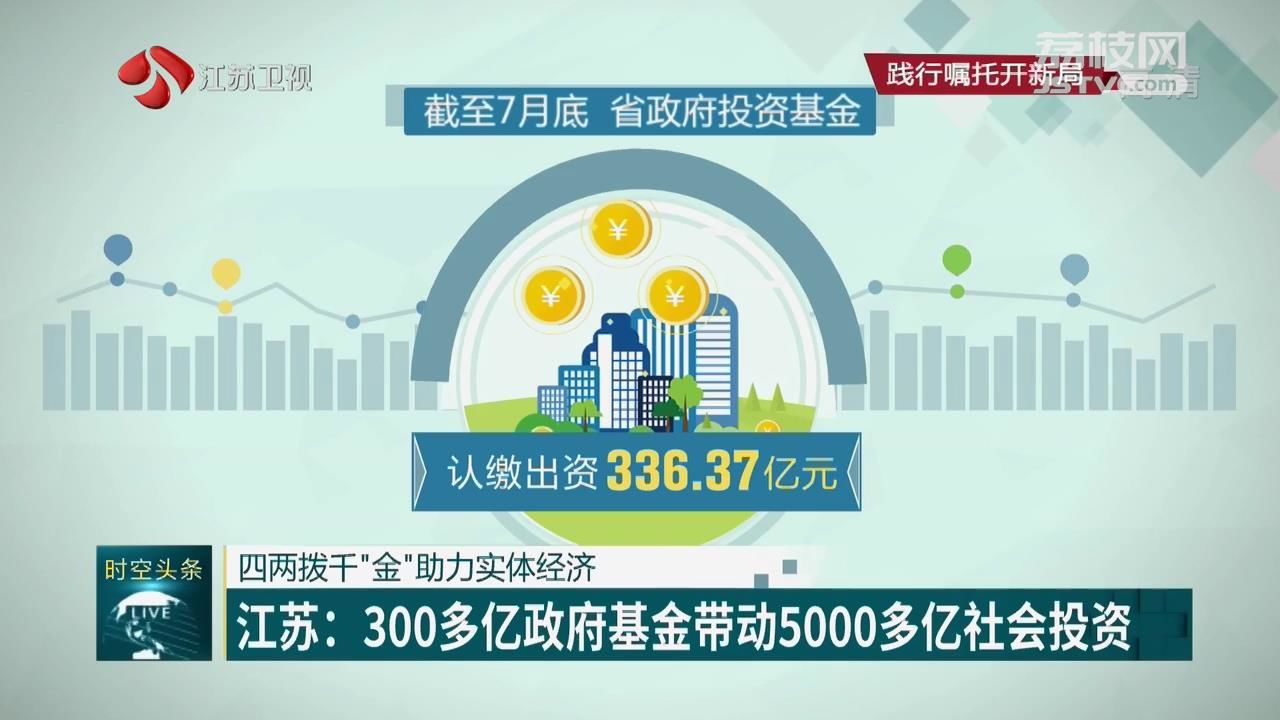 发挥引导撬动作用 用好政府投资基金