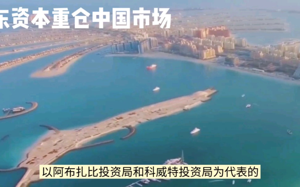 机器人赛道再现大额融资！上海国资、中东资本出手！