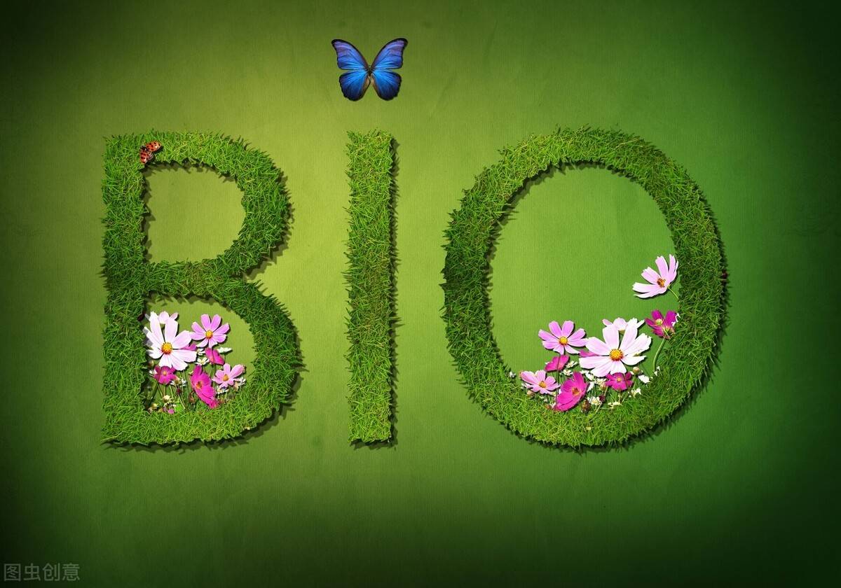 绿色债券发展势头强劲 政策助力市场发展空间大