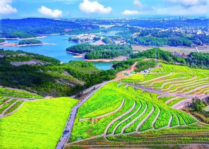 深市民营企业新年布局启新程 力促质量回报双提升