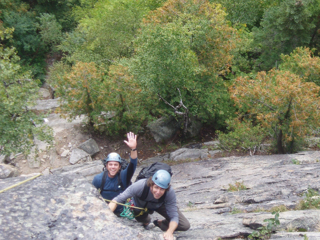 2024年MOX债券发行上市总规模2285.49亿澳门元