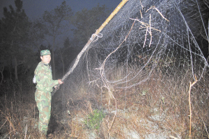 立方风控鸟·早报（1月17日）