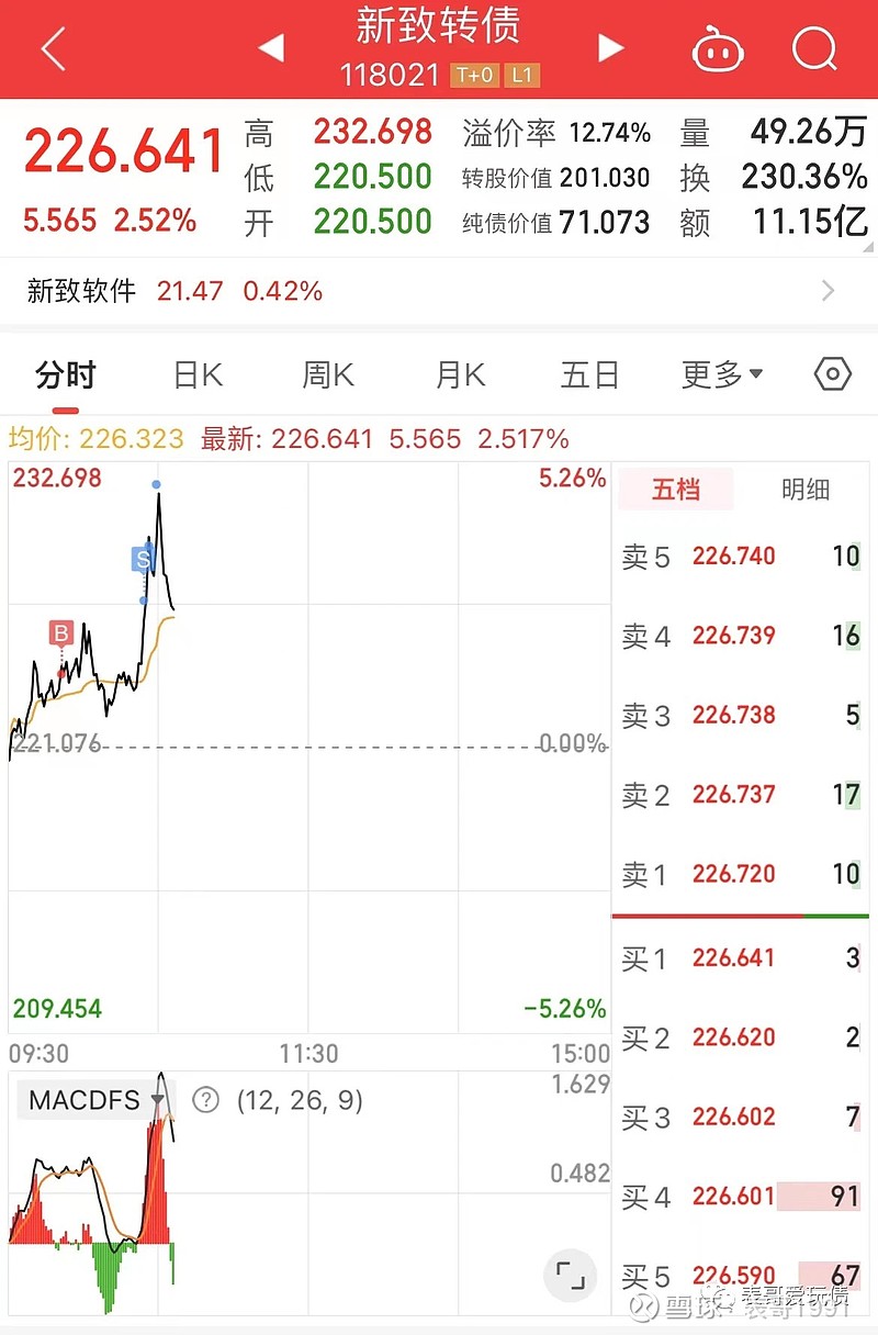 新致转债开盘大涨11%