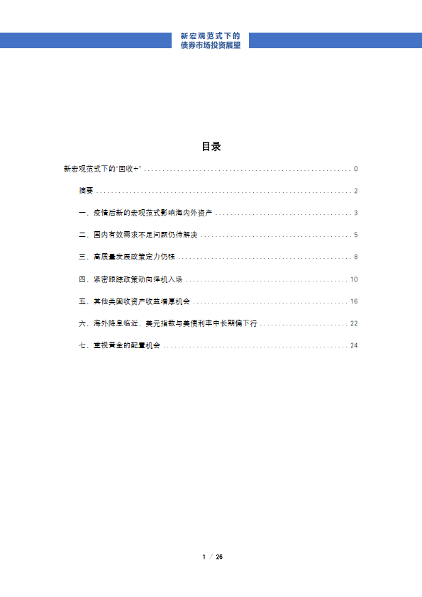 2024年河南省境外债券分析报告