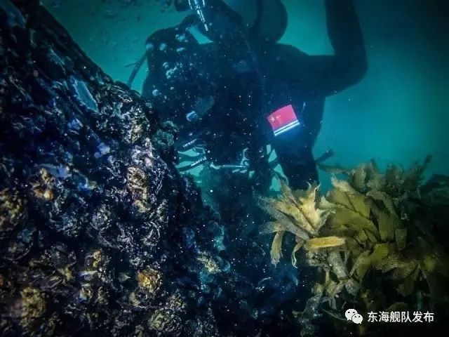 创投贺新春|澳银资本熊钢:以一颗敬畏之心和一份坚韧之志,探寻壮美的未知世界