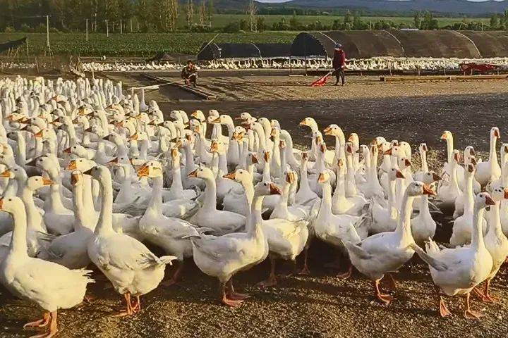 立方风控鸟·早报(2月14日)