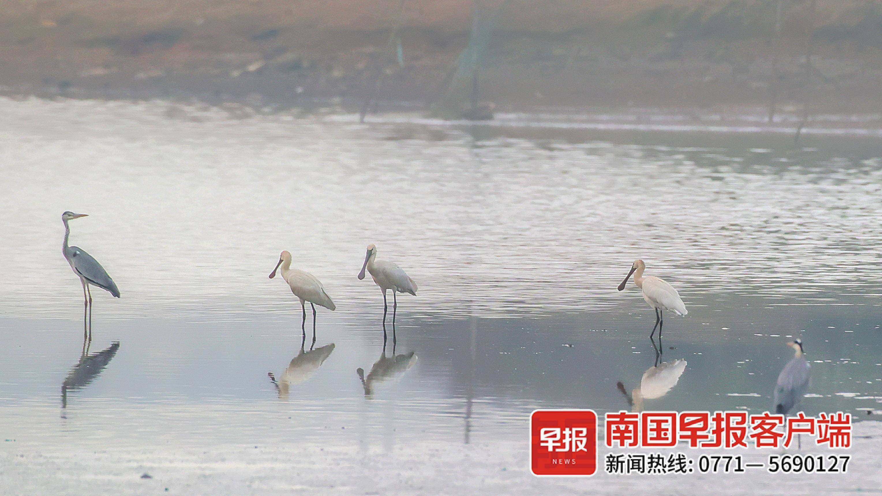 立方风控鸟·早报（2月20日）