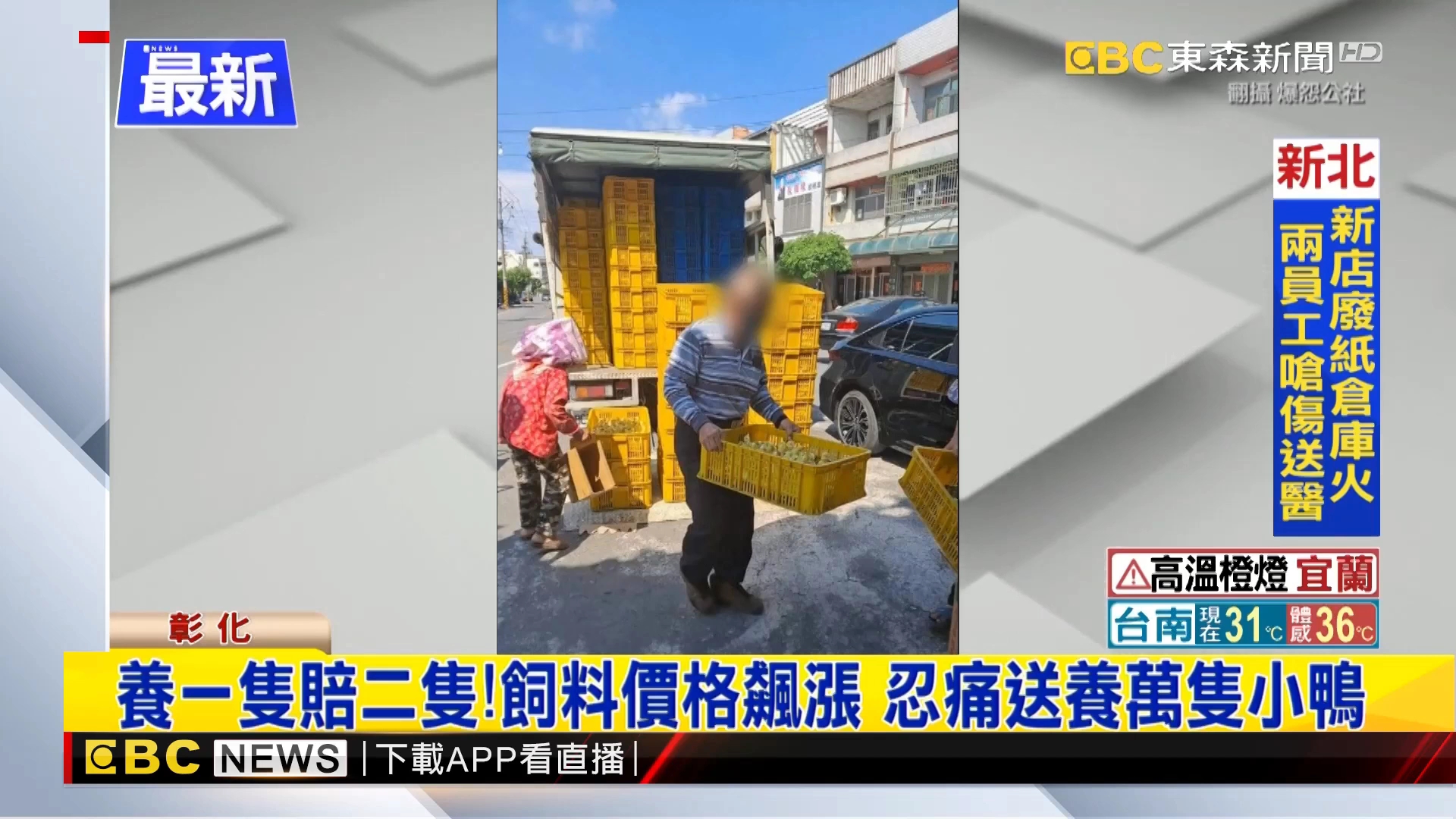 价格飙涨!“母鸡租赁”突然火了!美国发生了什么?