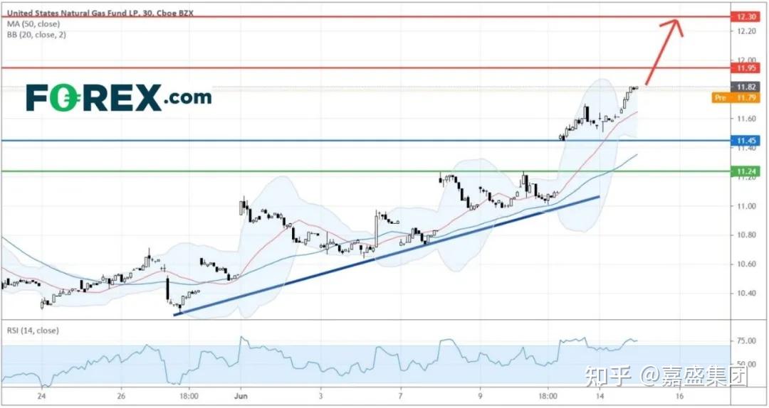 价格飙涨!“母鸡租赁”突然火了!美国发生了什么?
