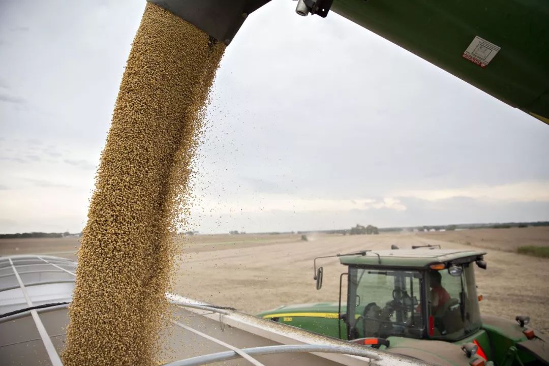 应对关税不确定性 美企业及消费者大举囤货