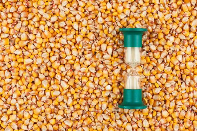 今年以来节节走高，这类债“火”了