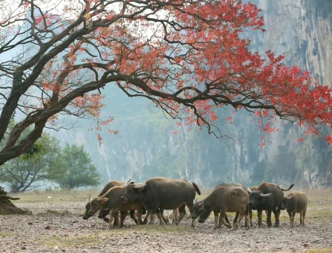 收复7.25！谁在继续推高人民币汇率？业内：人民币需求看涨驱动海外资本平仓空头