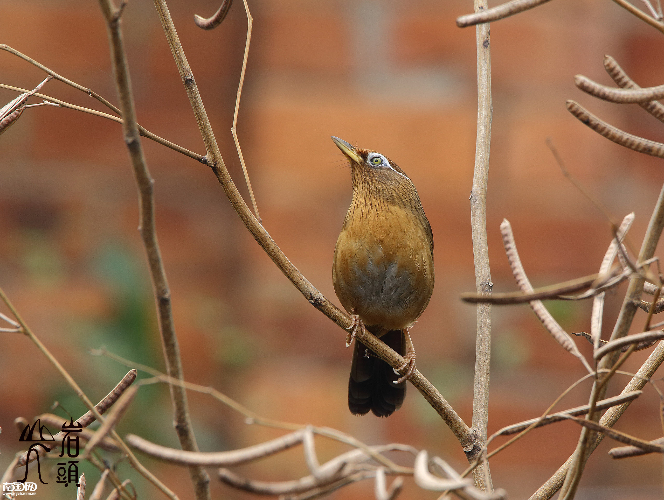 立方风控鸟·早报(3月13日)
