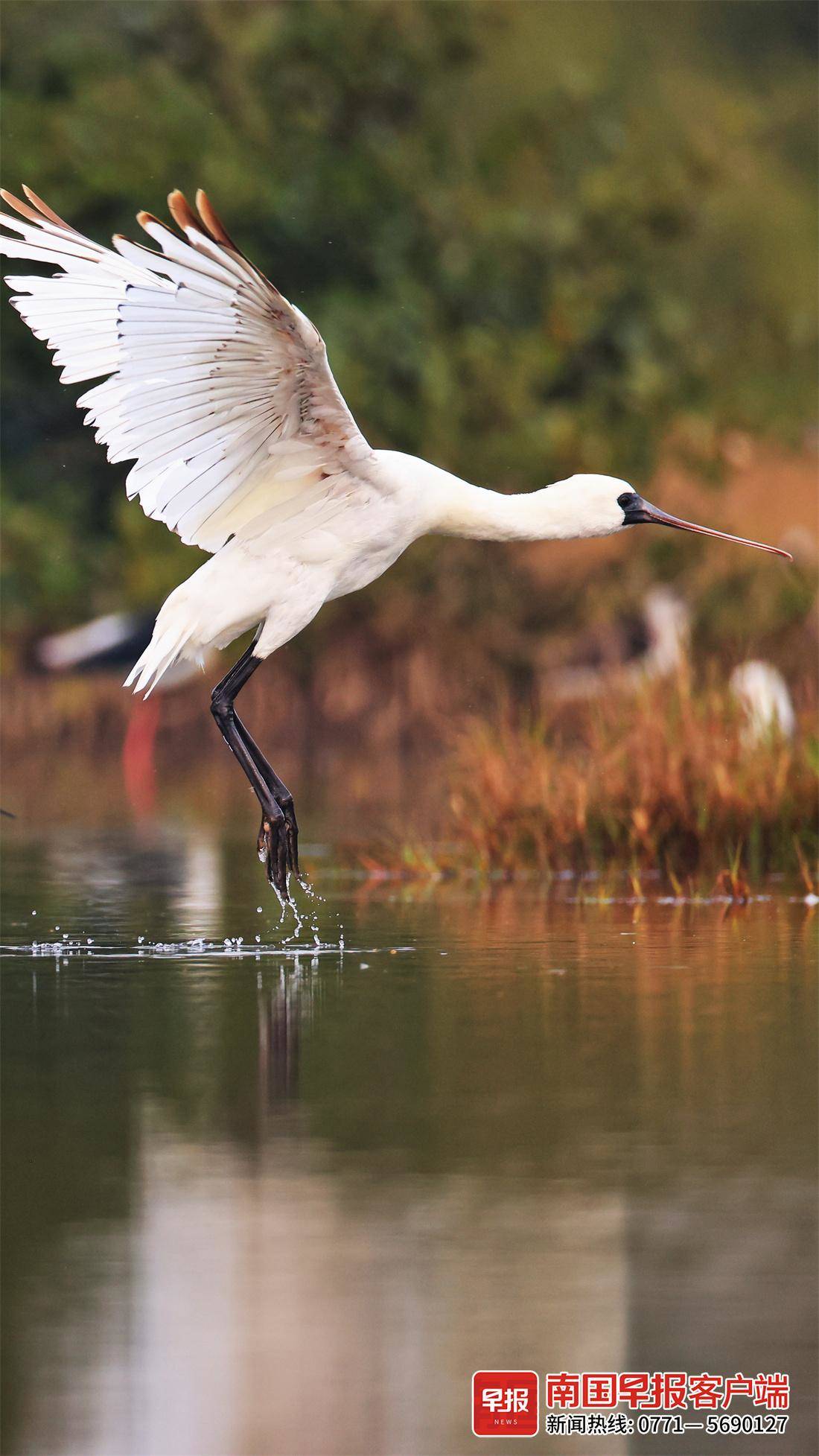 立方风控鸟·早报(3月14日)
