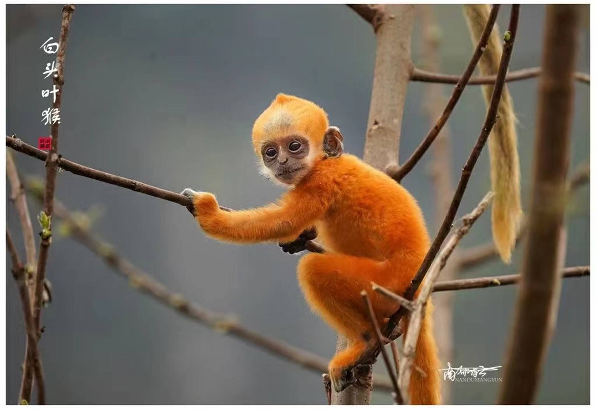 立方风控鸟·早报（3月17日）