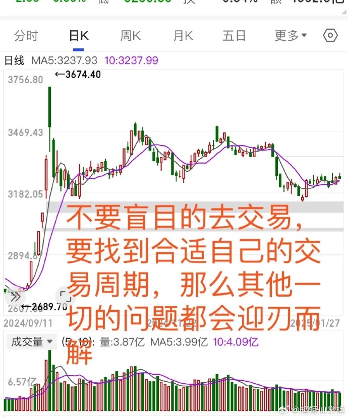 锚定龙头绩优股 长线资金持仓线路图浮现