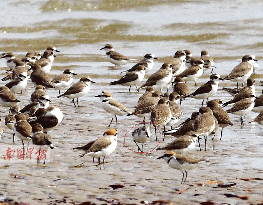 立方风控鸟·早报(3月26日)