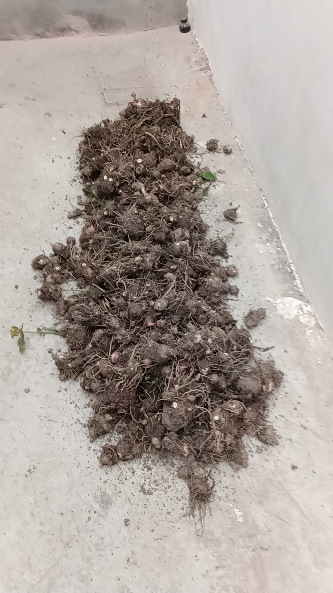 气候话题成“烫手山芋” 美企财报会议悄然“撤退”