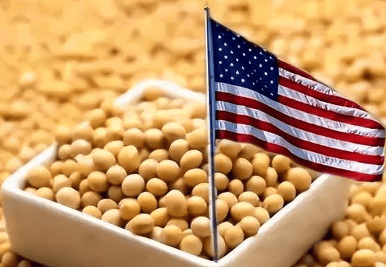 巴西总统：若向世贸组织申诉无果 将对美进行对等关税报复