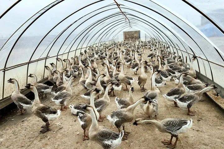 立方风控鸟·早报(4月3日)
