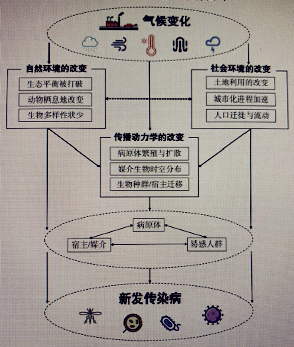关税战引发美债巨震 美国资产“即期信用”遭遇挑战 还将面临什么压力?