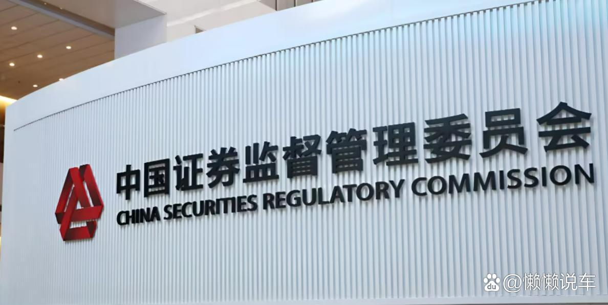 证监会发布年度评选十大投资者保护典型案例