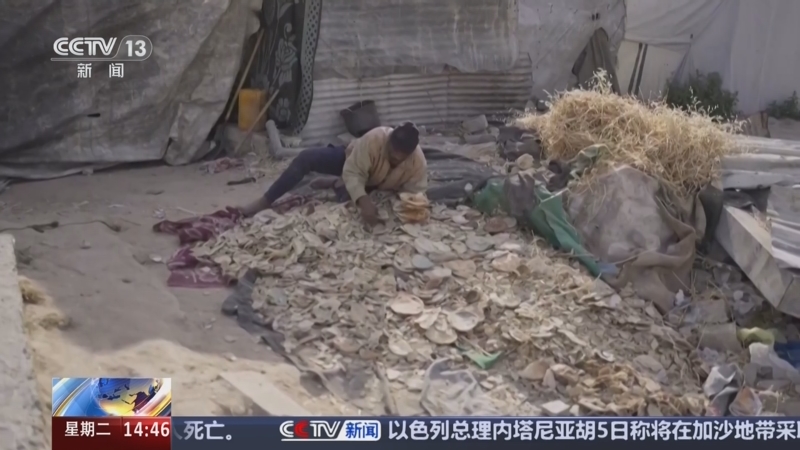 以总理首次承认加沙民众处于饥荒边缘 强硬表态将完成军事征服