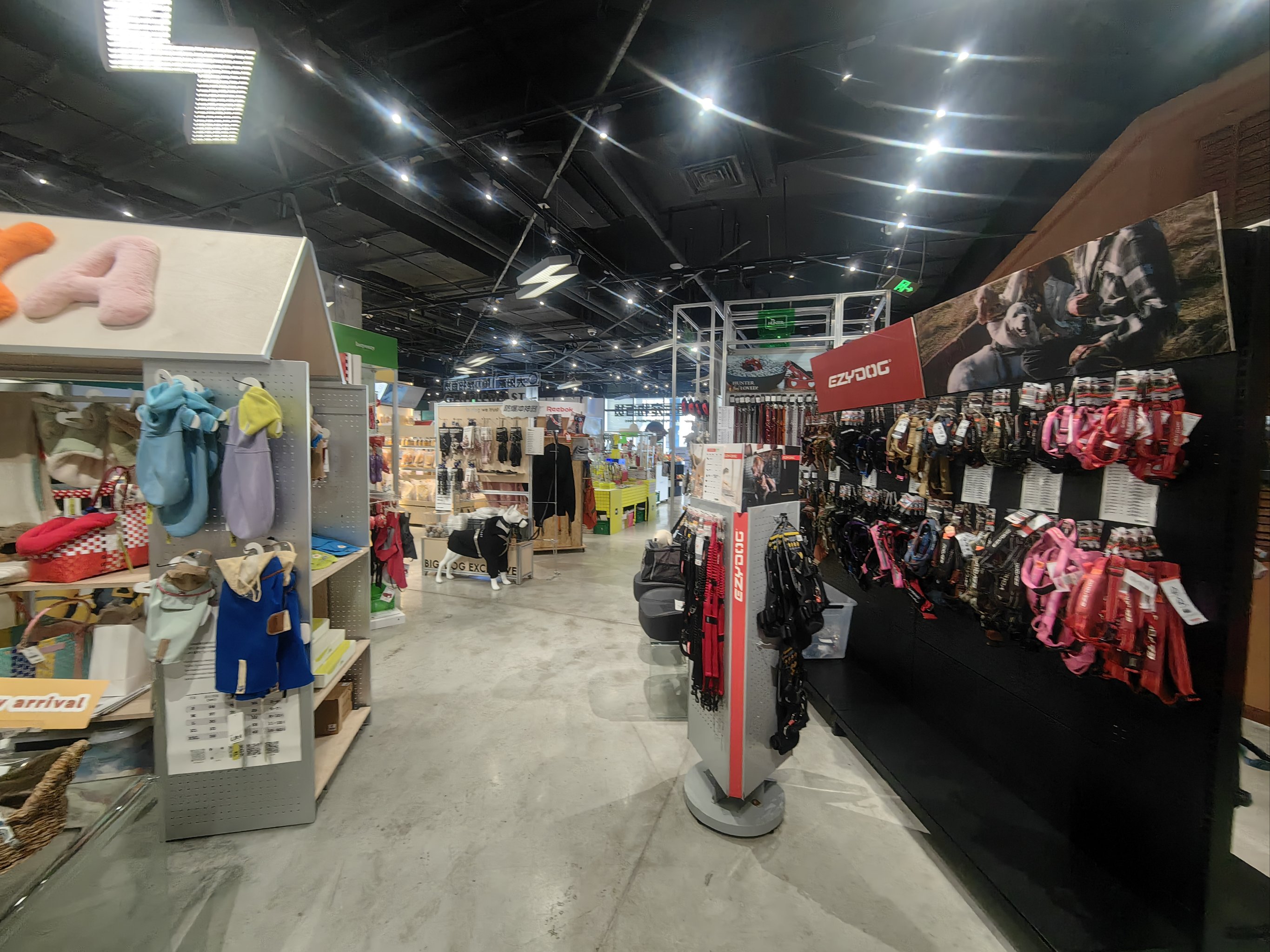 昨天A股宠物经济概念股受宠