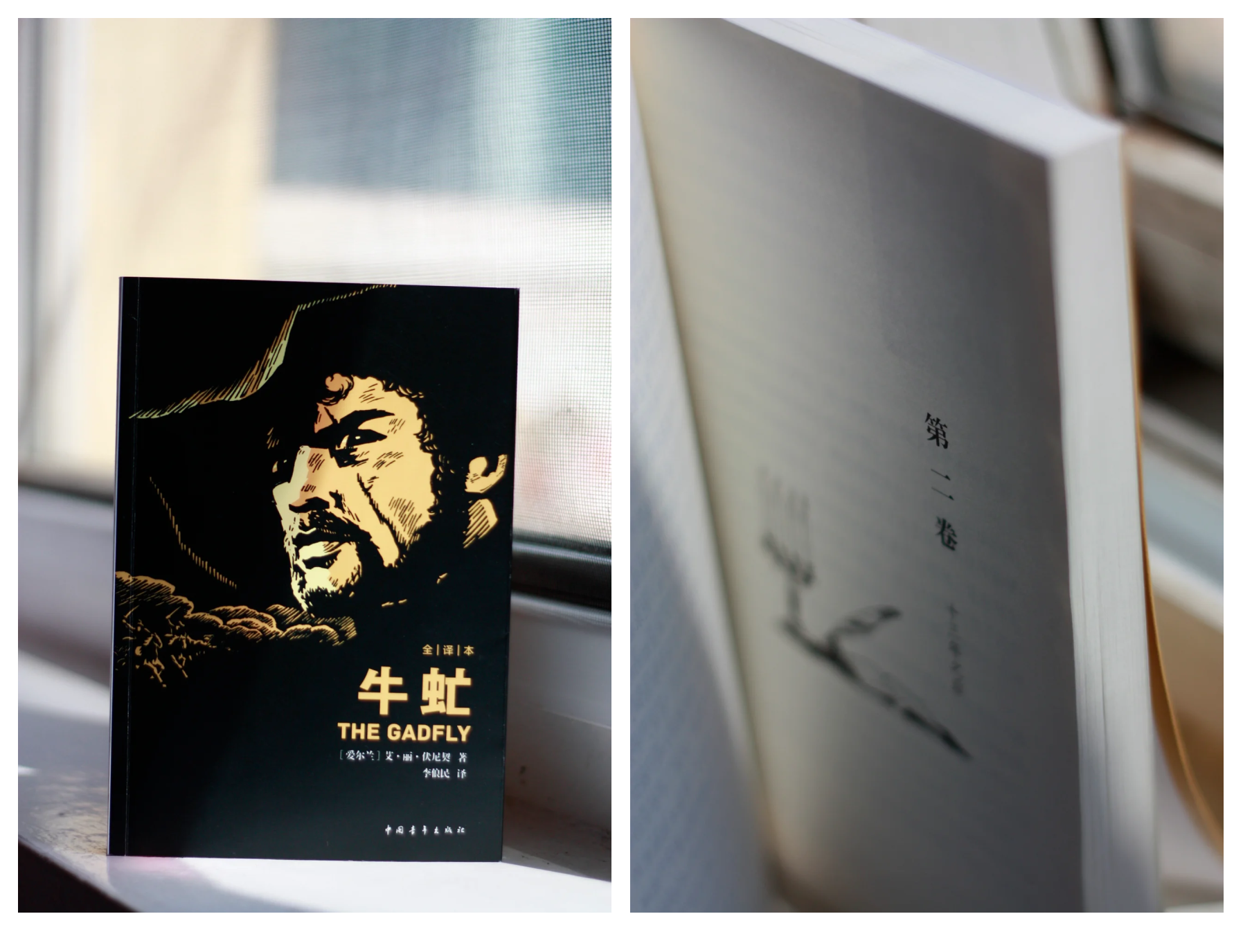 小虫子撬动的新质生产力:黑水虻“吃”出千亿市场——专访茵塞普科技创始人余广滔