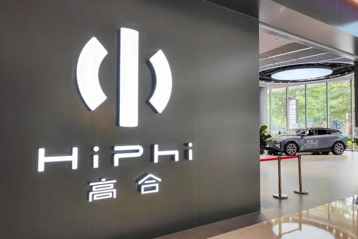 高合汽车创始人丁磊再被限消,涉案总金额超1700万元